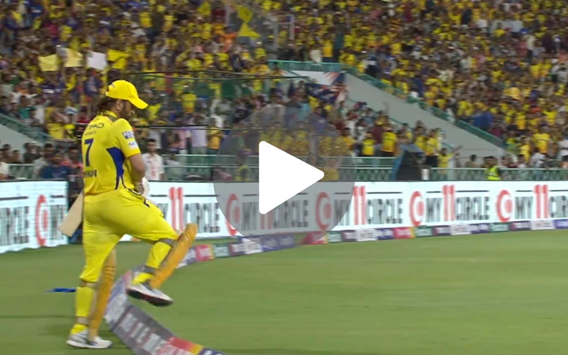 [Watch] Ekana Stadium Turns Yellow To Welcome MS Dhoni At The Crease Vs LSG